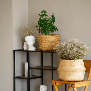 shelf and chair
